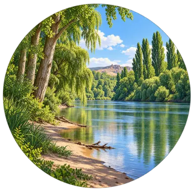 Sotos del Ebro