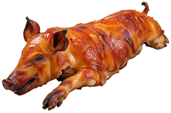 Gorrín asado