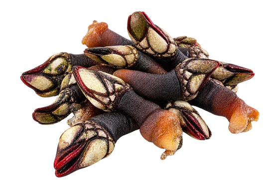 Percebes