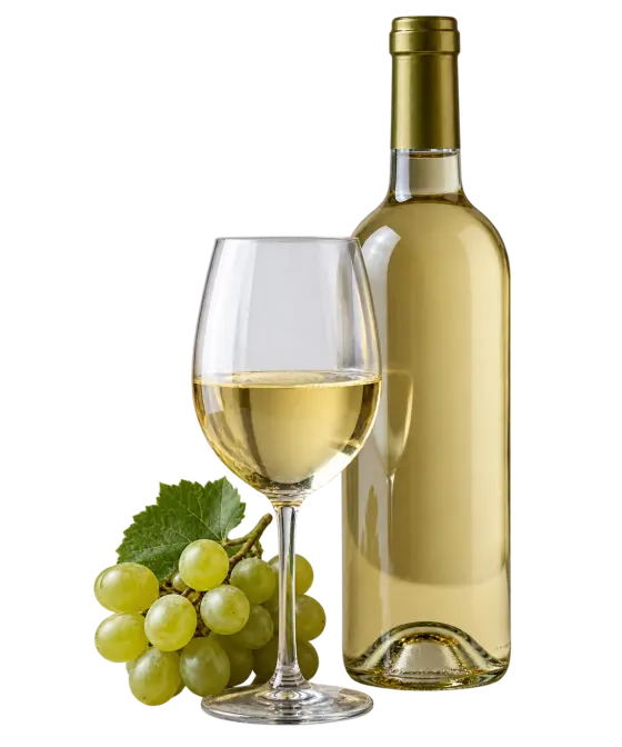 Vino de Rueda
