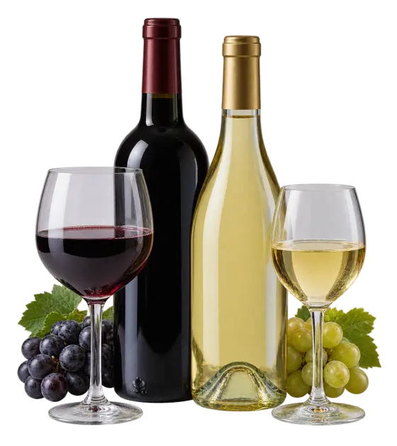 Vino Somontano
