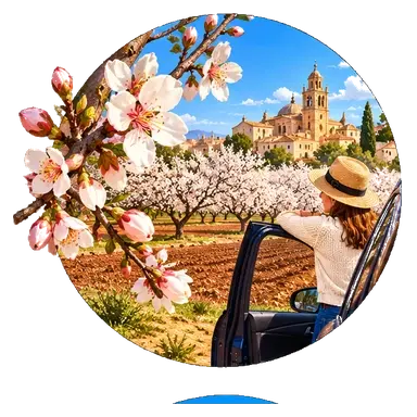 Gli «ametllers» in fiore a febbraio
